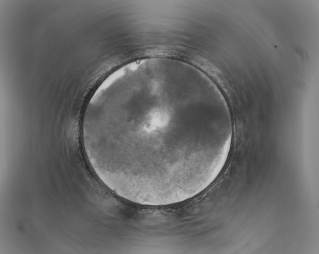 X0000111150297200907281138