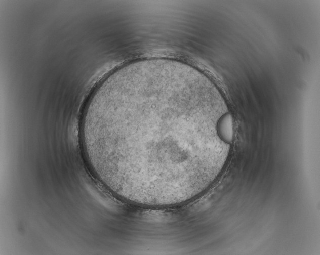 X0000111150298200907281138