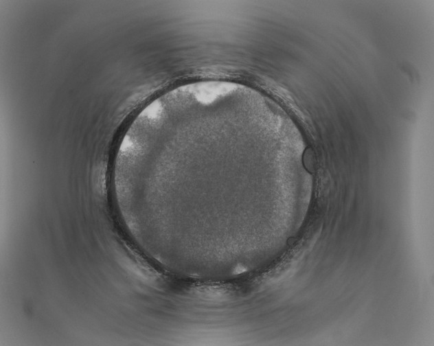 X0000111150299200907281138