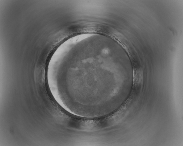 X0000111150301200907281138