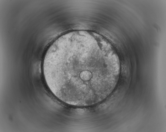 X0000111150302200907281138