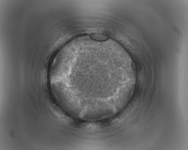 X0000111150303200907281138