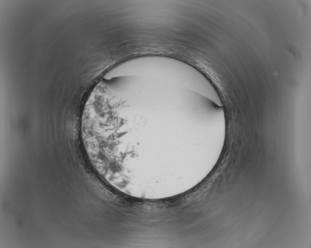 X0000111150305200907281138