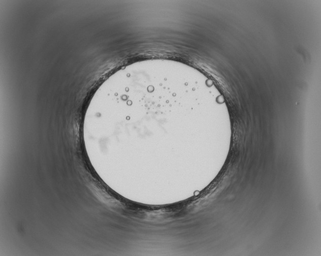 X0000111150309200907281138