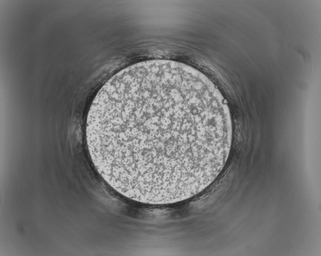 X0000111150313200907281138