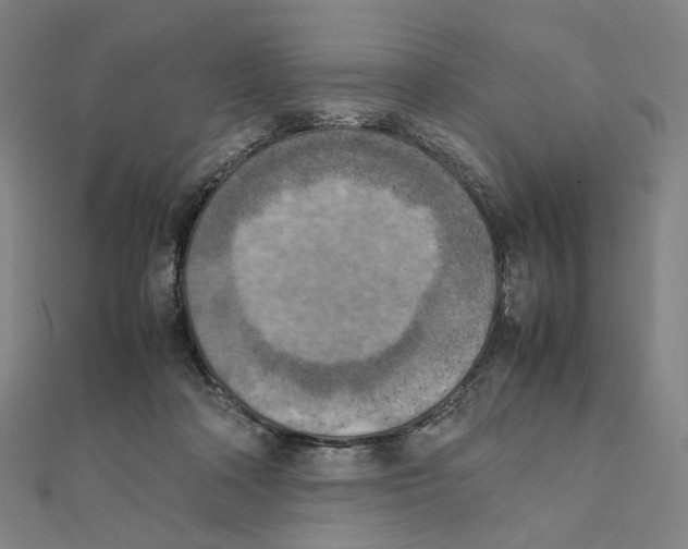 X0000111150314200907281138