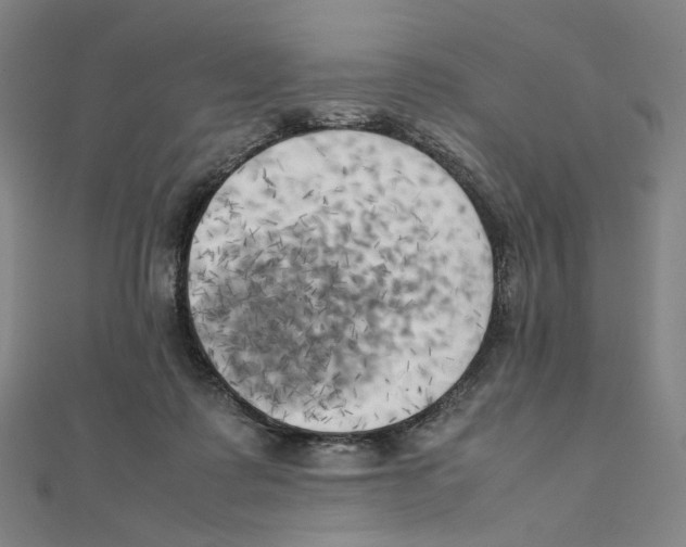 X0000111150315200907281138