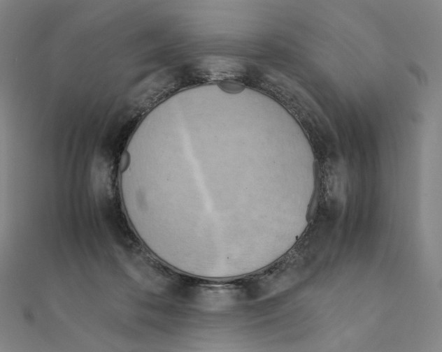 X0000111150316200907281138