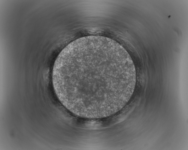 X0000111150319200907281138