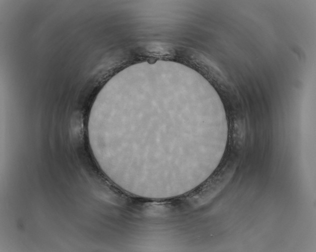 X0000111150320200907281138