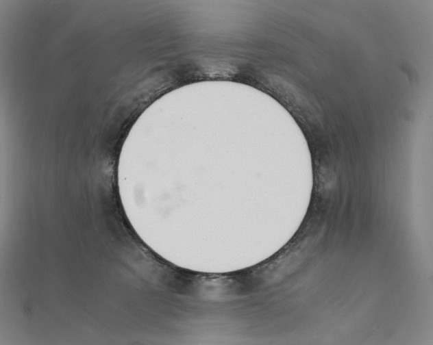 X0000111150321200907281138