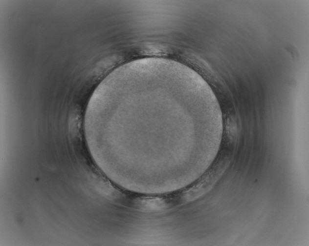 X0000111150322200907281138