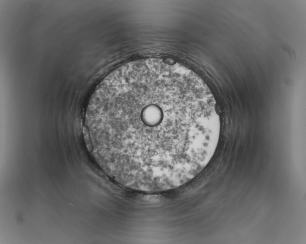 X0000111150324200907281138