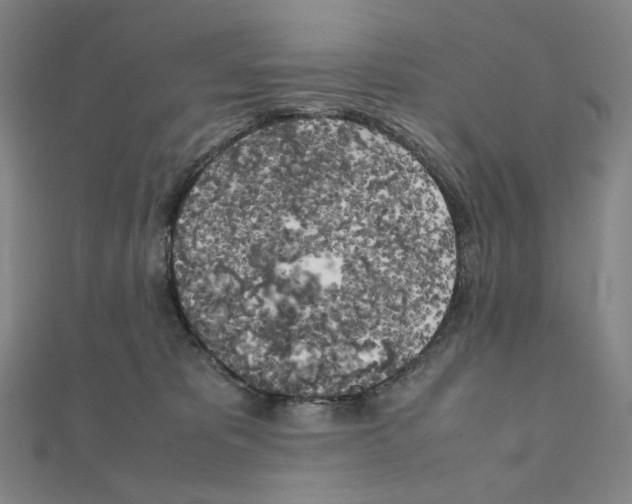 X0000111150325200907281138