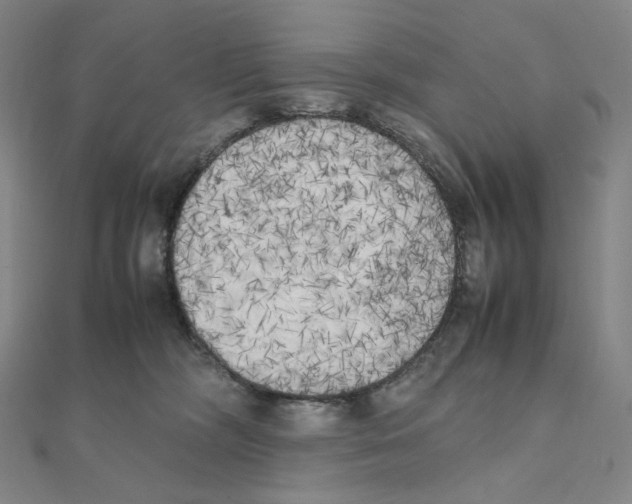 X0000111150326200907281138