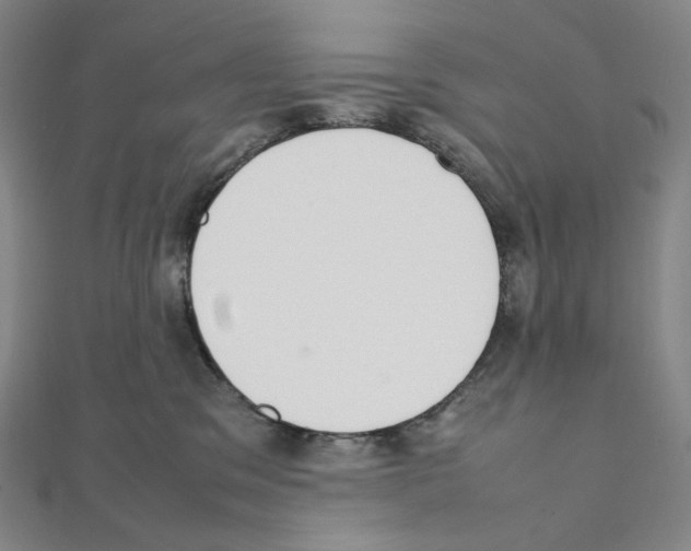 X0000111150329200907281138