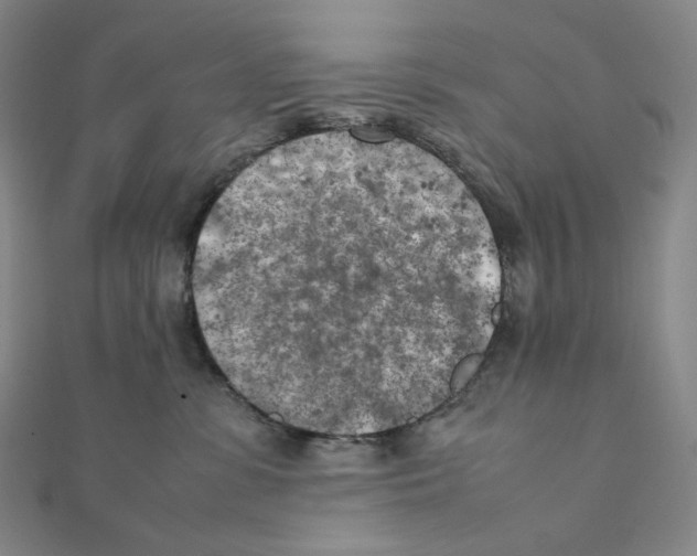 X0000111150331200907281138