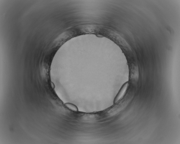 X0000111150332200907281137