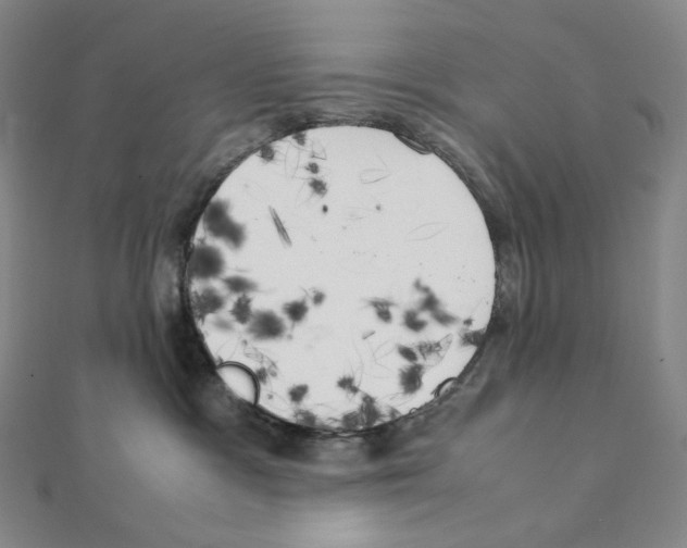 X0000111150333200907281137