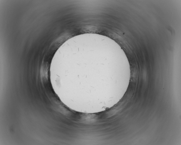 X0000111150334200907281137