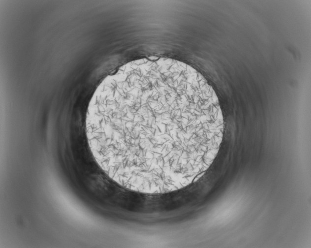 X0000111150335200907281137