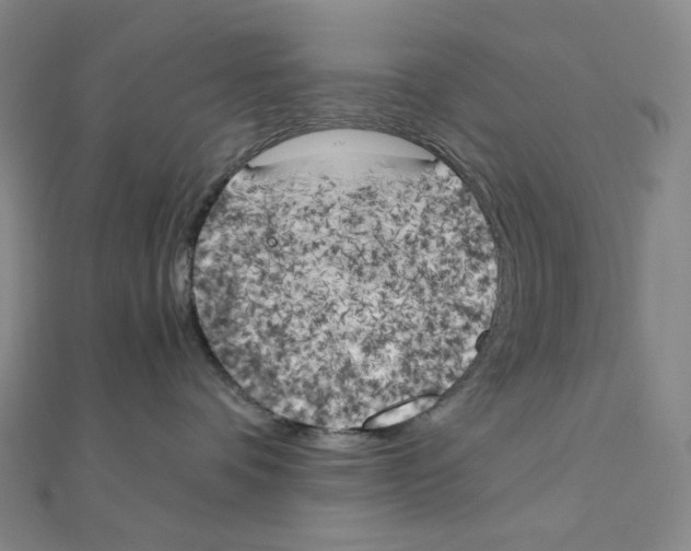 X0000111150336200907281137