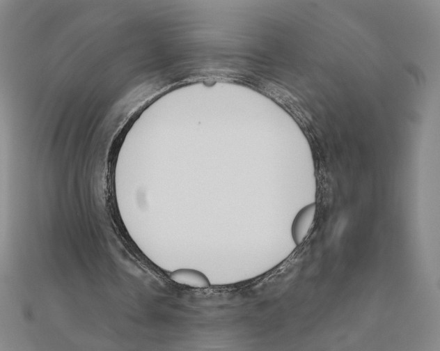 X0000111150338200907281137