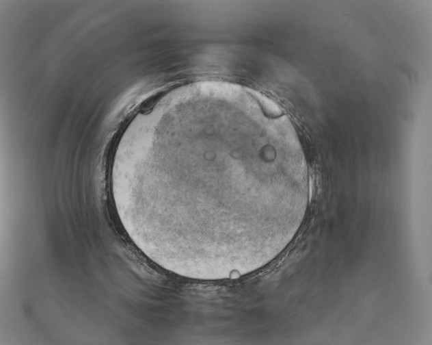 X0000111150339200907281137