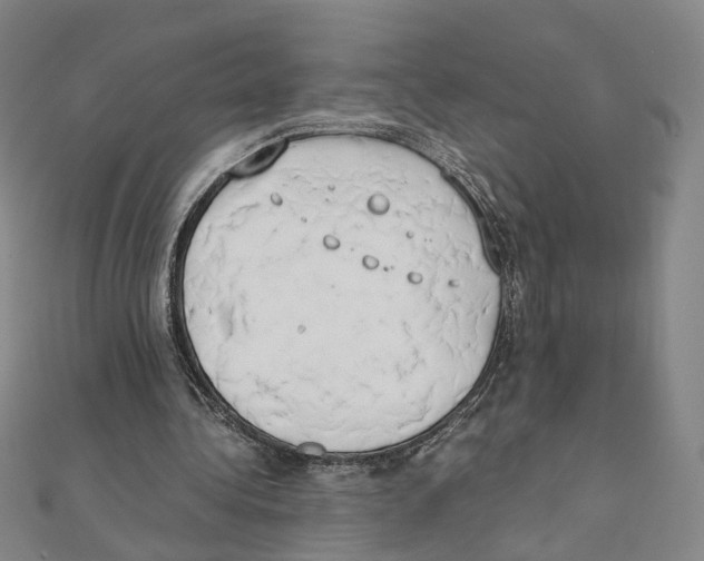 X0000111150340200907281137