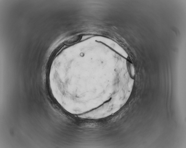 X0000111150344200907281137