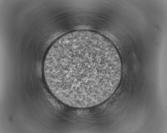 X0000111150345200907281137