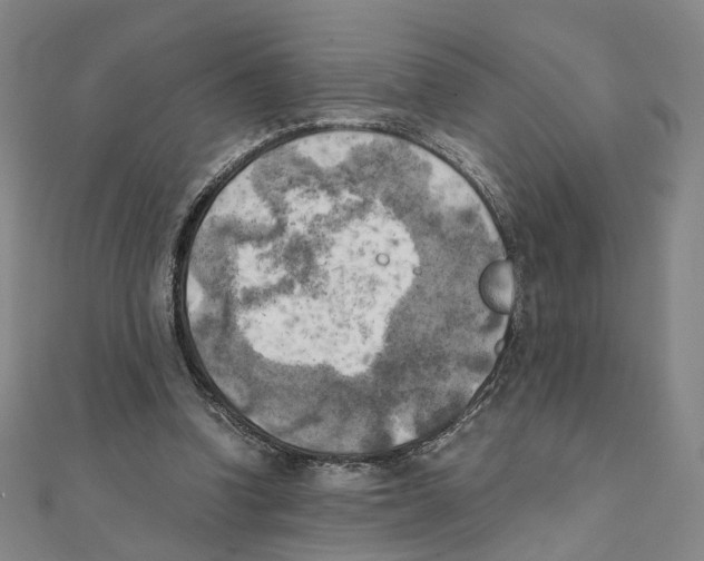 X0000111150346200907281137