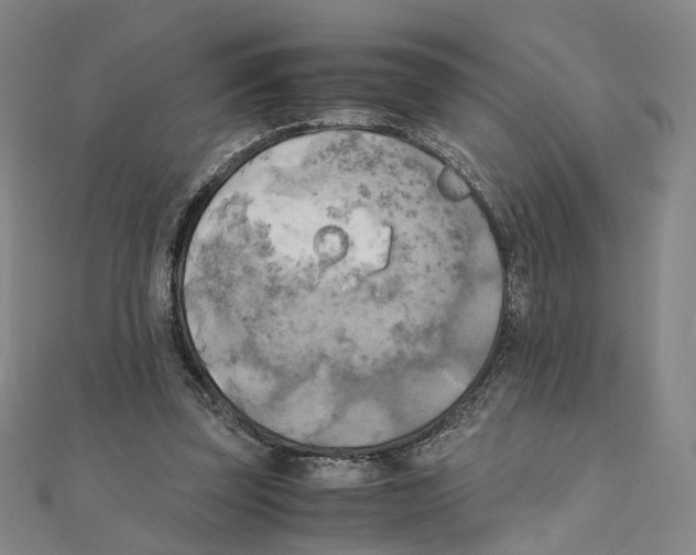 X0000111150347200907281137