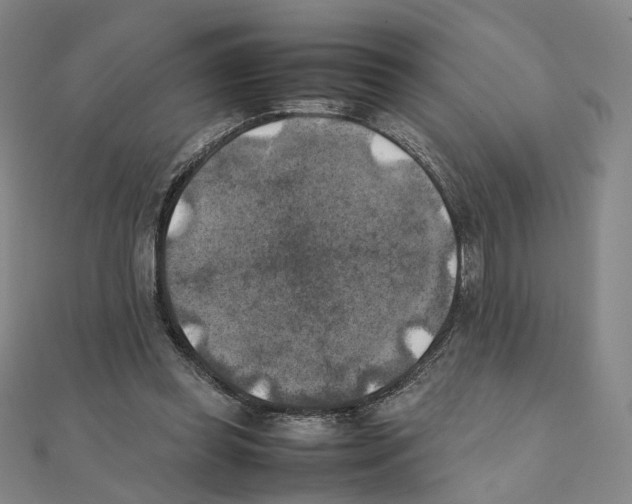 X0000111150349200907281137