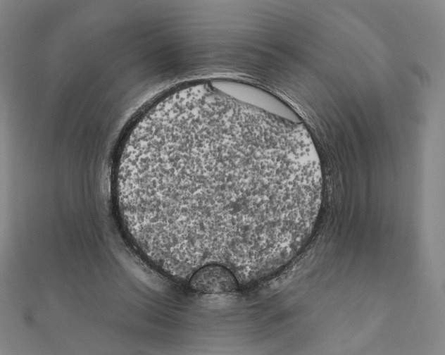 X0000111150350200907281137