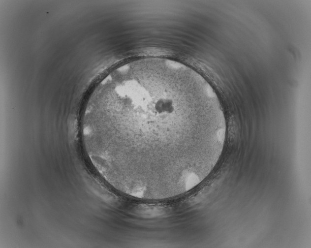 X0000111150351200907281137