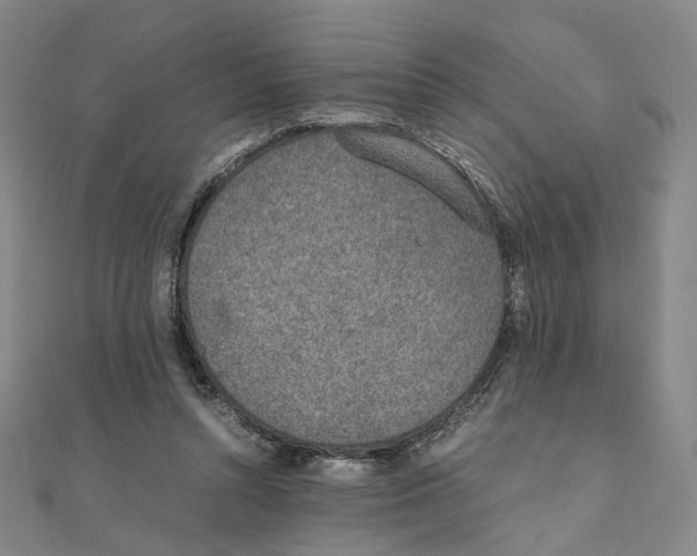 X0000111150352200907281137