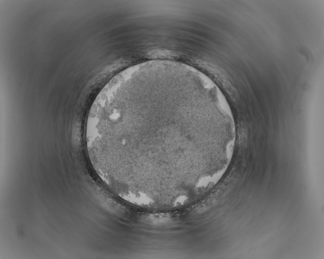 X0000111150353200907281137