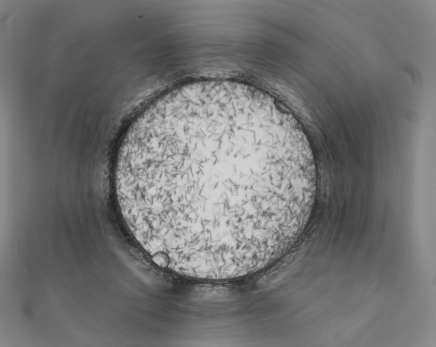 X0000111150354200907281137