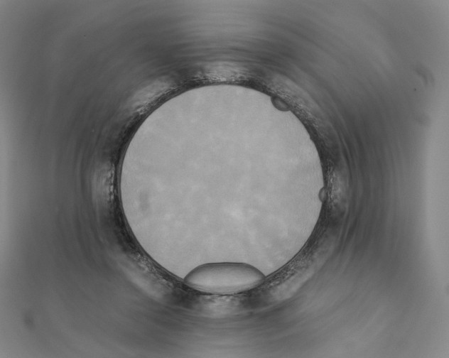 X0000111150356200907281137