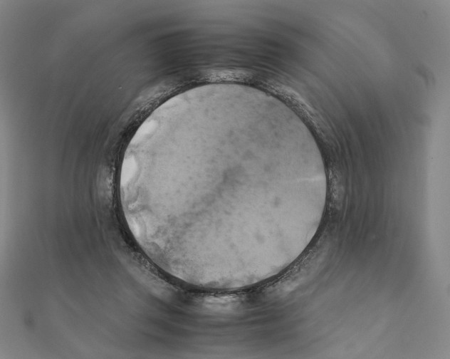 X0000111150357200907281137