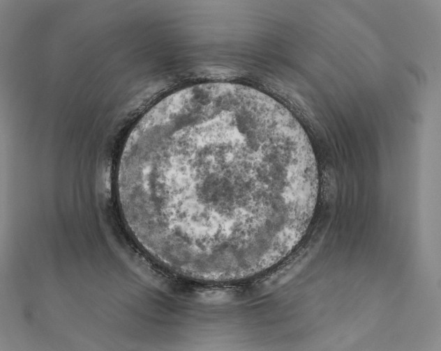 X0000111150358200907281137