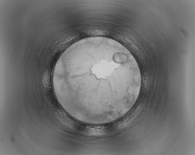 X0000111150359200907281137