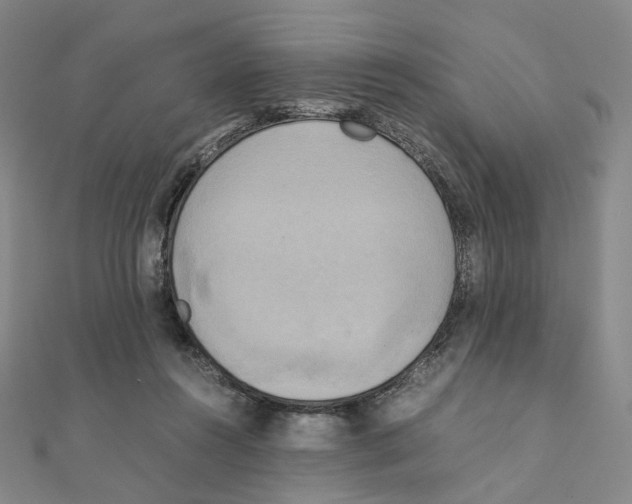 X0000111150360200907281137