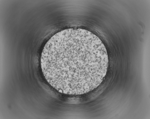 X0000111150362200907281137