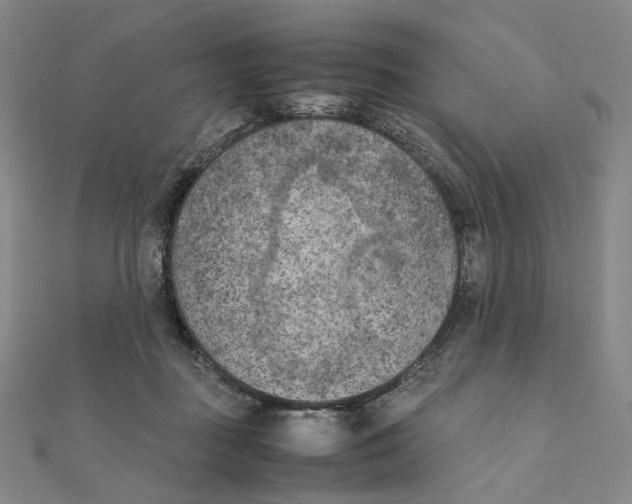 X0000111150363200907281137