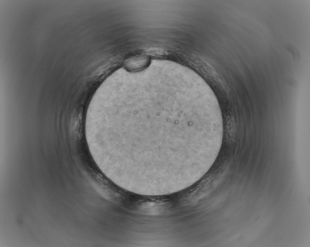 X0000111150364200907281137