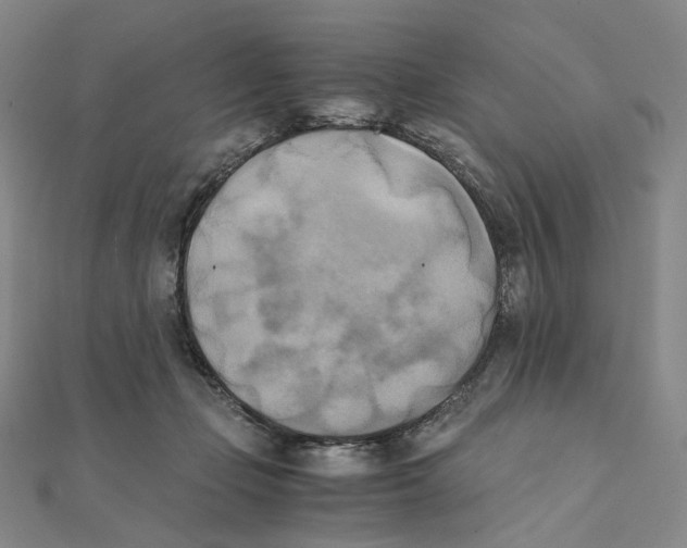 X0000111150365200907281137