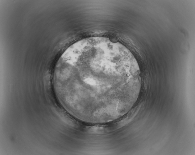 X0000111150366200907281137