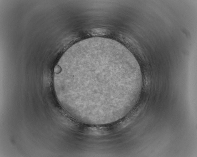 X0000111150367200907281137